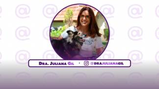 bg_juliana-gil_pet-conecta bg_juliana-gil_pet-conecta