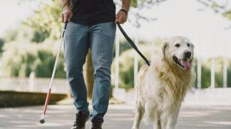 guide-dog-helping-blind-man-city-handsome-blind-guy-have-rest-with-golden-retriever-city