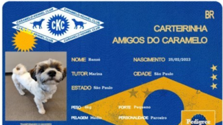 Caramelo_Kennel_Clube_Caes__Cia-1