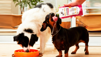 1080x720_petfood (7)