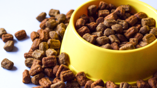 petfood form (7)
