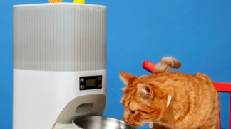 petfood forum brasil (1)