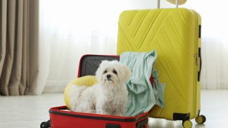 petfoodforumbrasil (10)