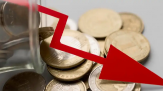 petfoodforumbrasil (28)