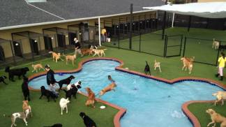 9 Airports With Impressive Animal Boarding Facilities