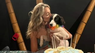 882137891-lindolfo-cachorro-de-samira-recebe-protese-apos-campanha-nas-redes-sociais