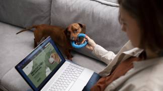 close-up-beautiful-dachshund-dog-with-chewing-toy (1)