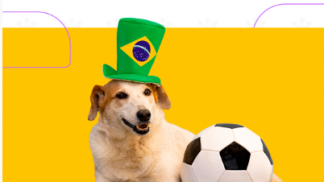 Captura de tela 2026-05-25 164205