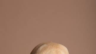 view-adorable-dog-with-bowl-food