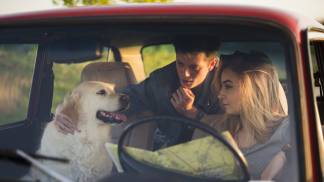 young-family-road-trip-with-their-dog