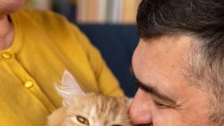 foto materia gato