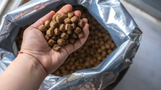 fda-notificacao-ingredientes-gras-pet-food-1200x675