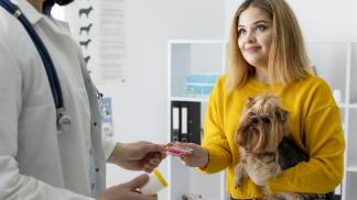 cute-dog-consultation